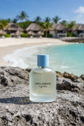 Dolce & Gabbana Light Blue Pour Homme (Eau de Toilette)